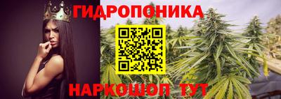 индика Гагарин