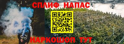 гидропоника Гатчина