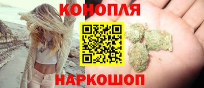 гидропоника Гатчина