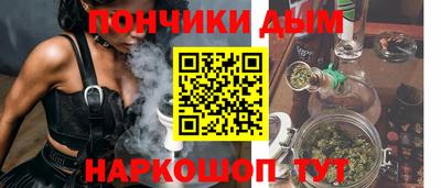 индика Гагарин