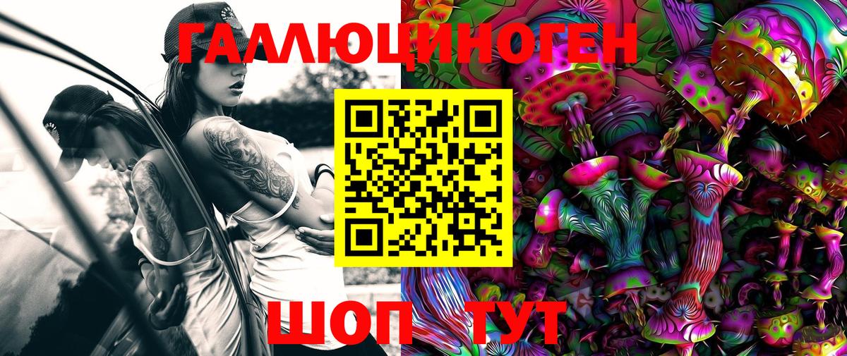 ТГК  Alpha-PVP СК   Героин  МЕФ кристаллы  Североморск  Канабис  ГАШ 