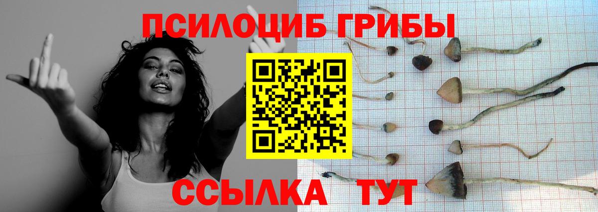 Галлюциногенные грибы ЛСД  Вход с VPN  Галлюциногенные грибы Psilocybine cubensis  Североморск 